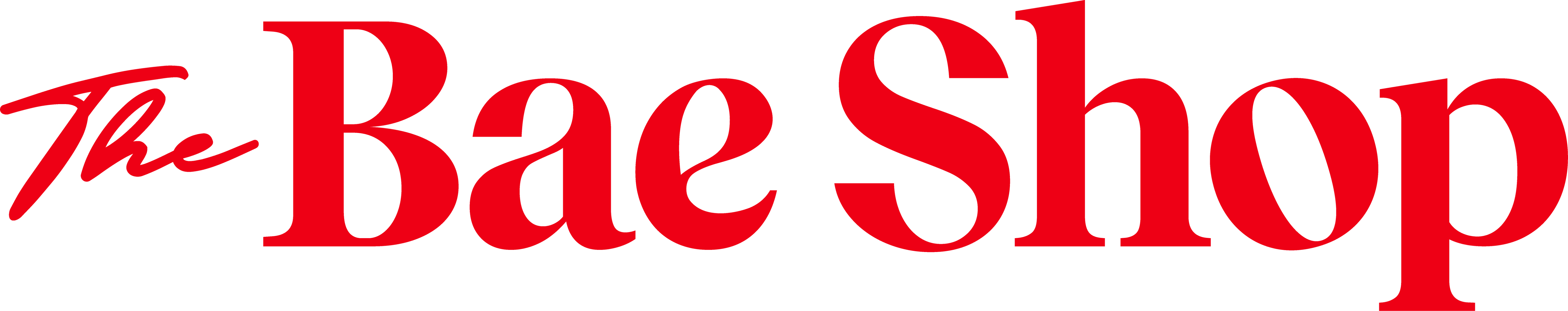 Shop from The Bae Shop - Personalised pouches for yourself and your loved ones!